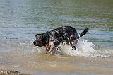 BEAUCERON 680